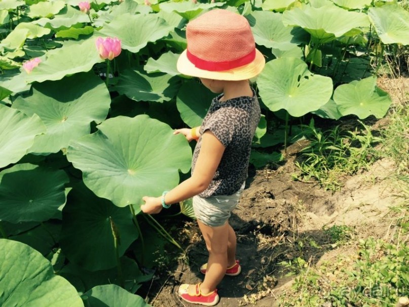 фото Благовещенска