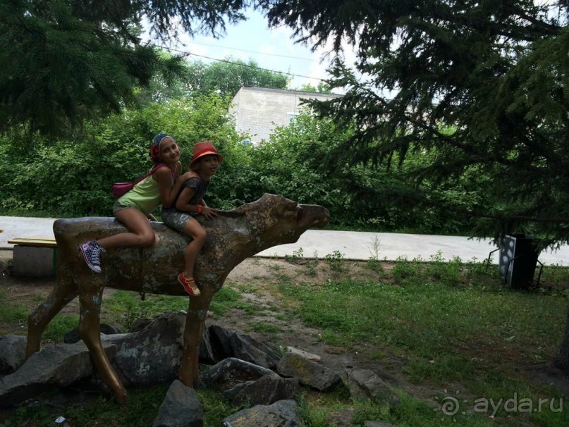 Лотосы. Дальний Восток. Амурская область
