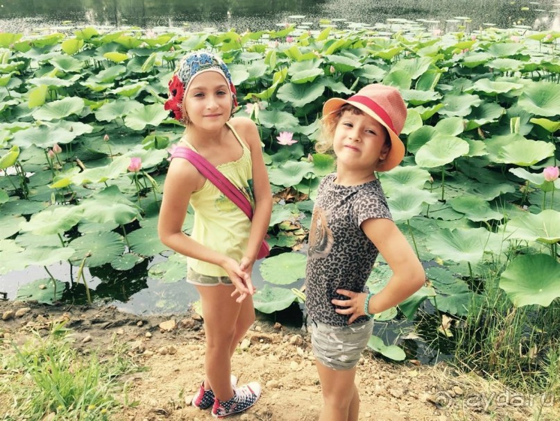 фото Благовещенска