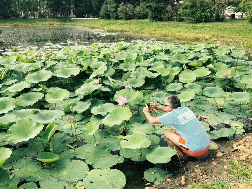 фото Благовещенска