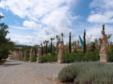 Будды Бумбарала — протест и красота