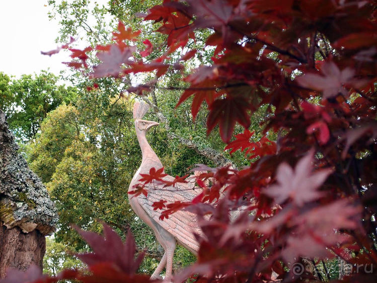 Будды Бумбарала — протест и красота