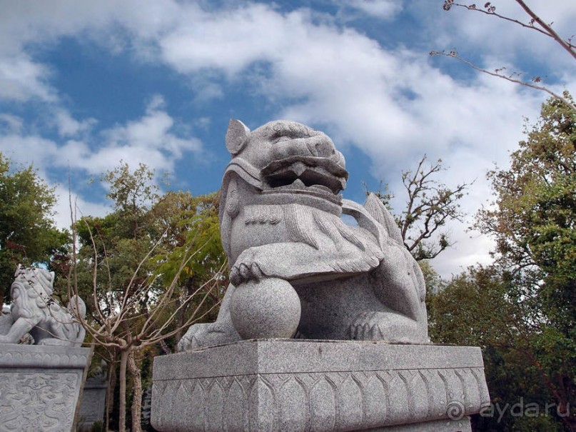 Будды Бумбарала — протест и красота