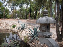 Будды Бумбарала — протест и красота