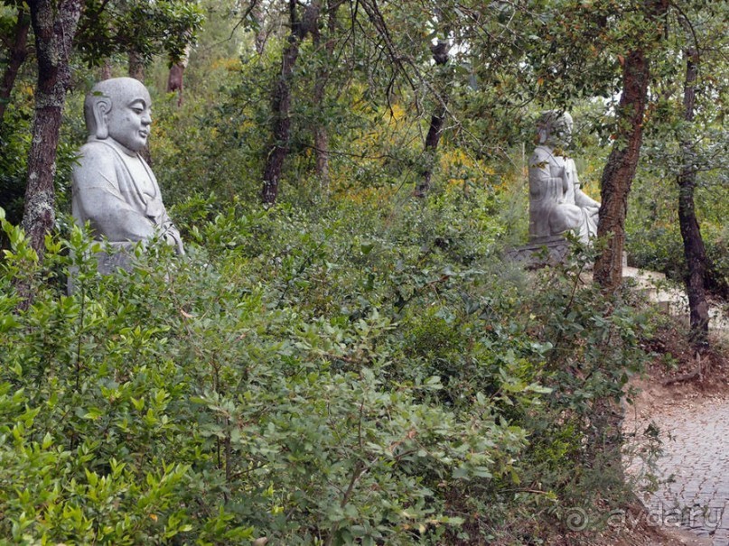 Будды Бумбарала — протест и красота