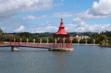 Будды Бумбарала — протест и красота