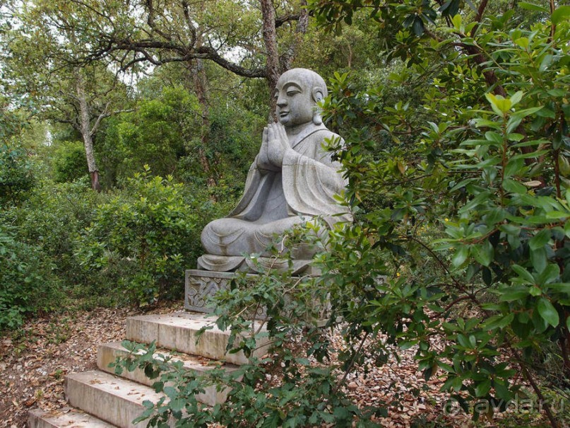 Будды Бумбарала — протест и красота