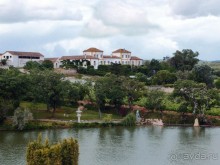 Будды Бумбарала — протест и красота