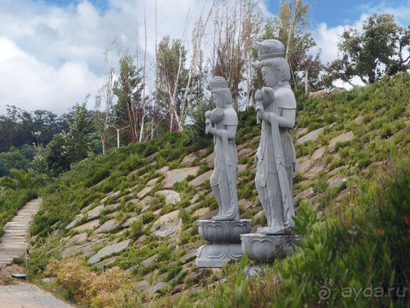 Будды Бумбарала — протест и красота