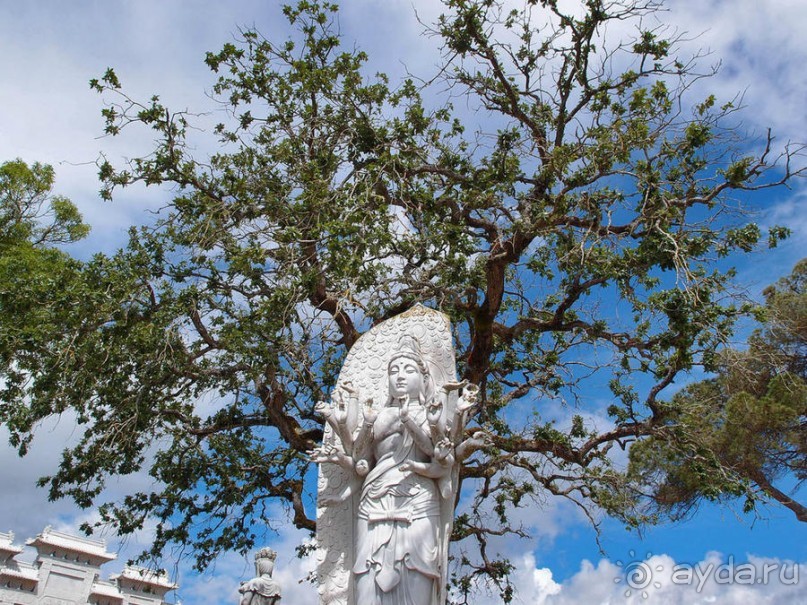 Будды Бумбарала — протест и красота