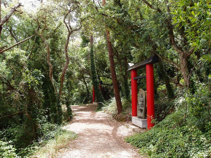 Будды Бумбарала — протест и красота