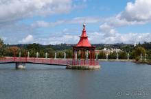 Будды Бумбарала — протест и красота