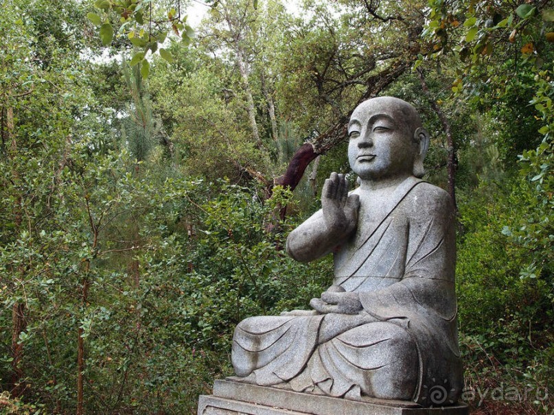 Будды Бумбарала — протест и красота