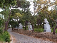 Будды Бумбарала — протест и красота