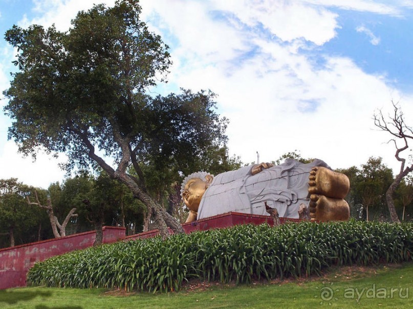 Будды Бумбарала — протест и красота