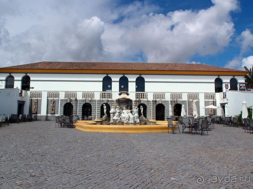 Будды Бумбарала — протест и красота