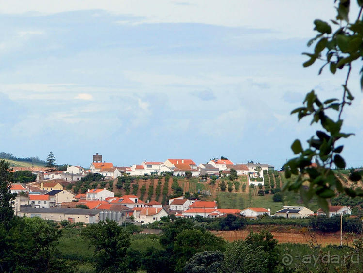 Будды Бумбарала — протест и красота