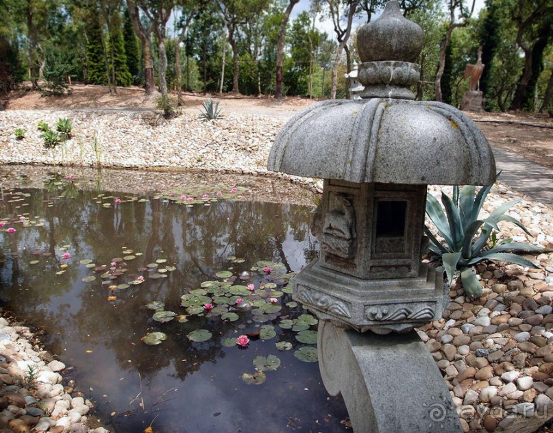 Будды Бумбарала — протест и красота