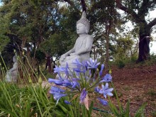 Будды Бумбарала — протест и красота