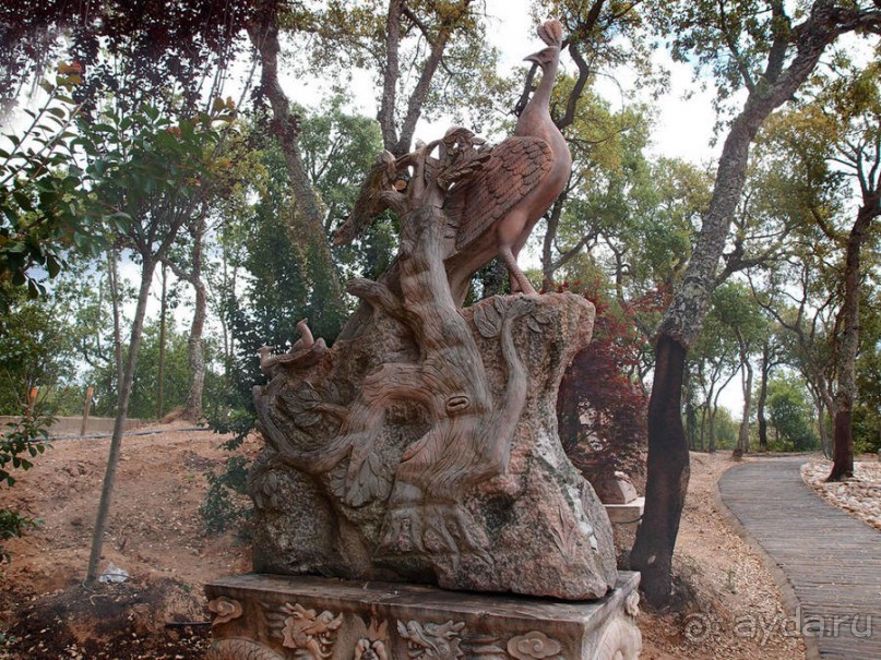 Будды Бумбарала — протест и красота