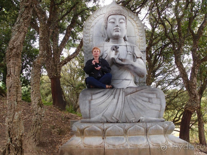 Будды Бумбарала — протест и красота
