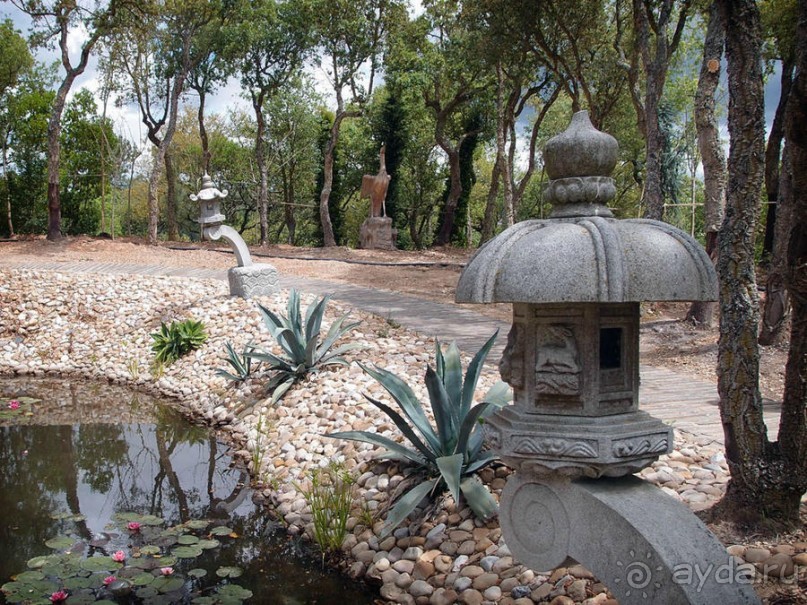 Будды Бумбарала — протест и красота