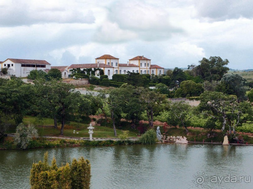 Будды Бумбарала — протест и красота