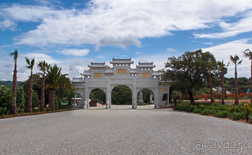 Будды Бумбарала — протест и красота