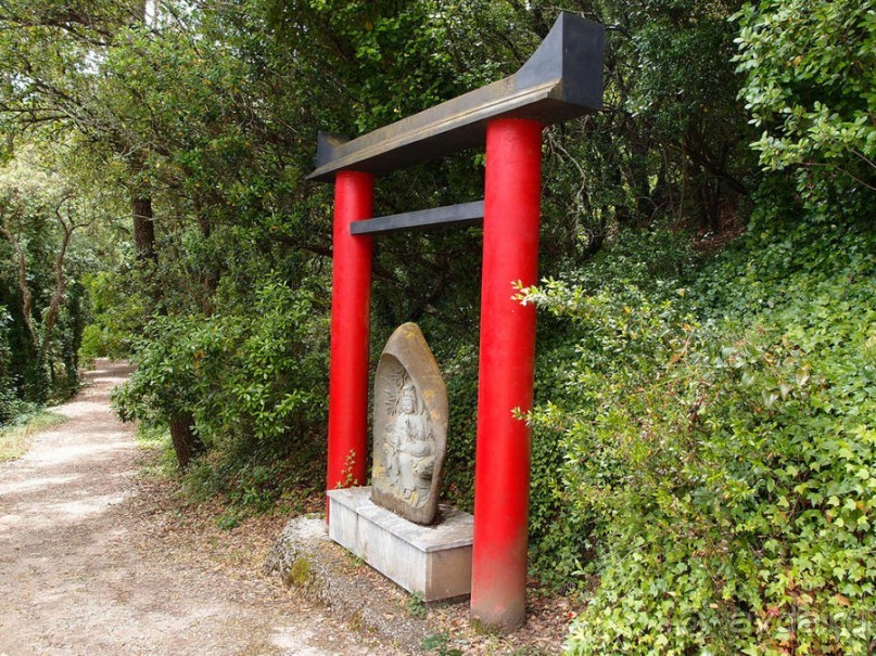 Будды Бумбарала — протест и красота