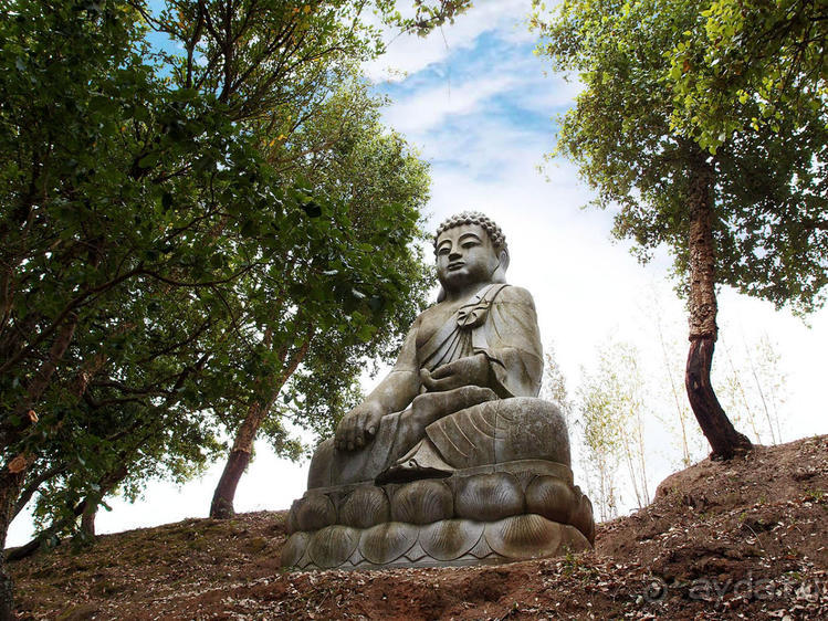 Будды Бумбарала — протест и красота