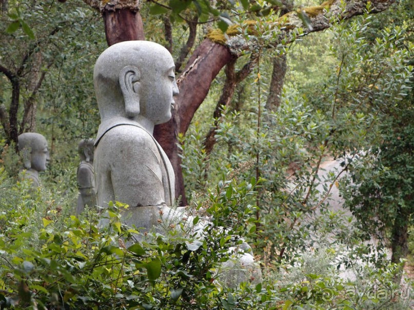 Будды Бумбарала — протест и красота