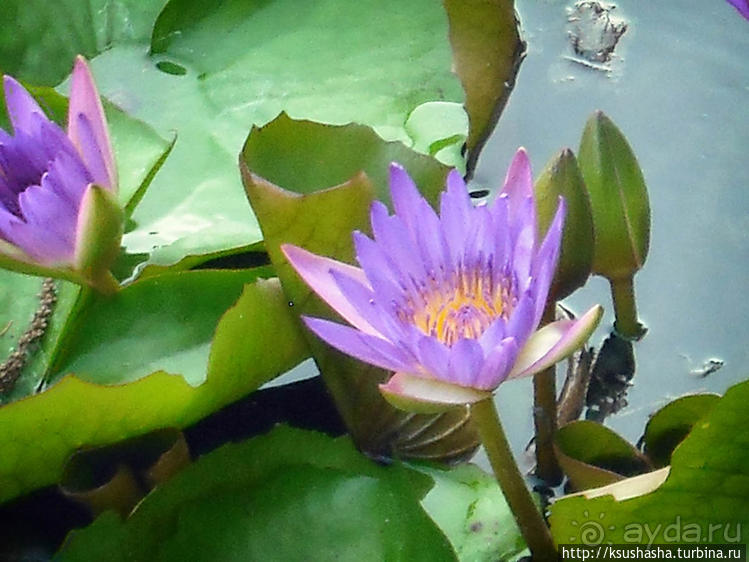 Тёплое озеро- для тела и души