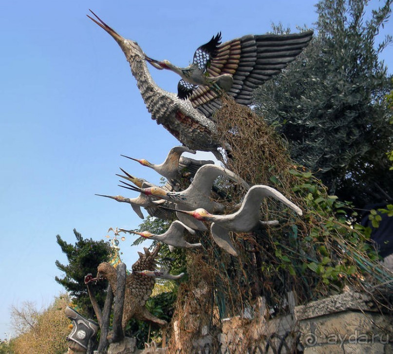 Альбом отзыва "За внешней стеной Цитадели"