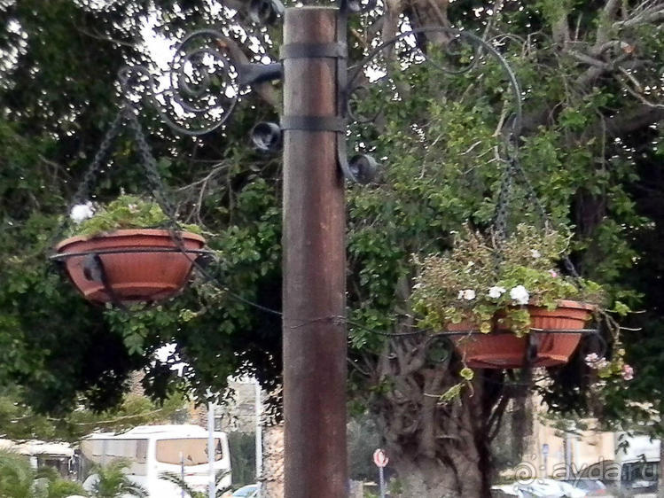 Альбом отзыва "За внешней стеной Цитадели"