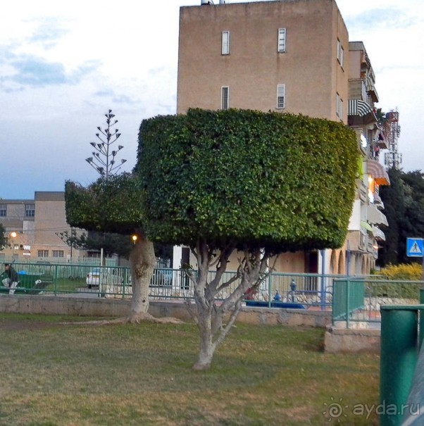 Альбом отзыва "За внешней стеной Цитадели"