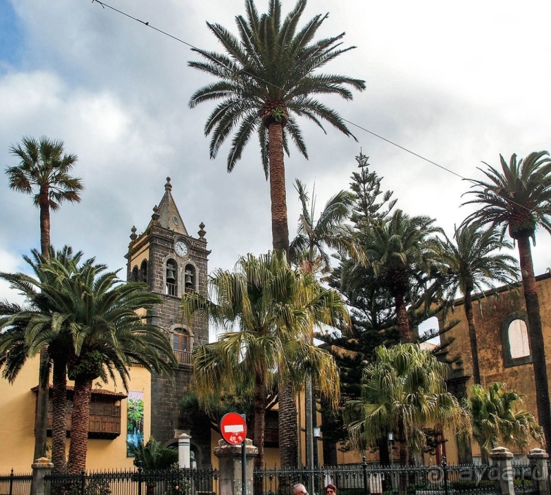 Пальма первенства 