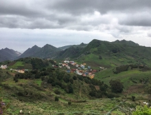 Пальма первенства 