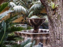 Пальма первенства 