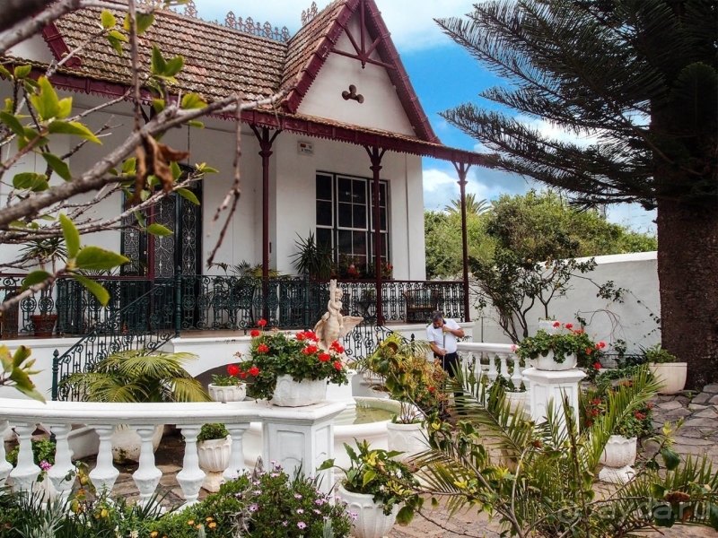 Пальма первенства 