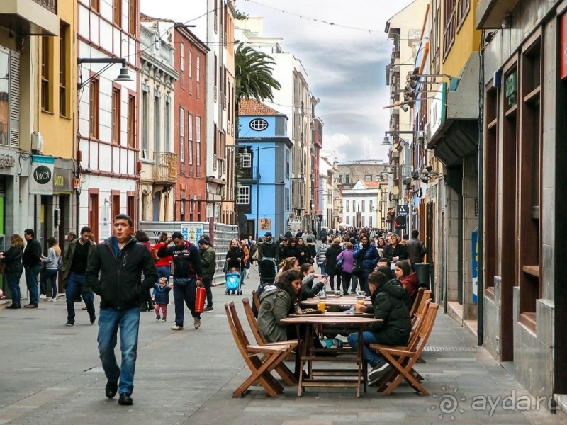 Пальма первенства 