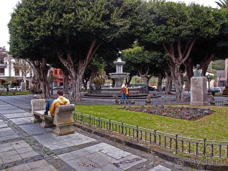 Пальма первенства 