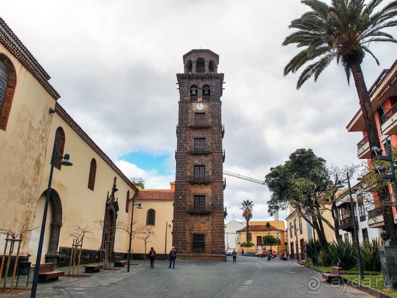 Пальма первенства 