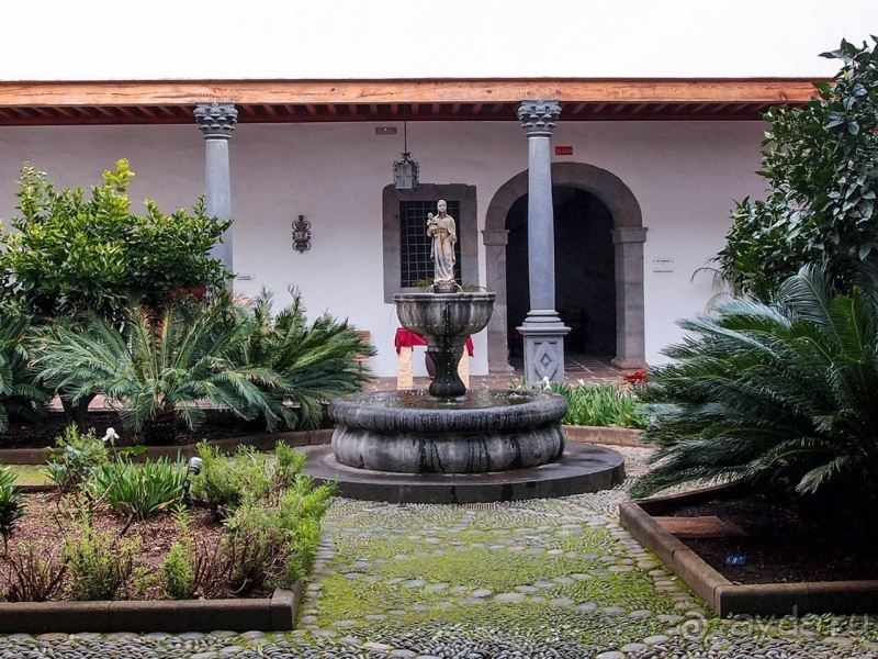 Пальма первенства 