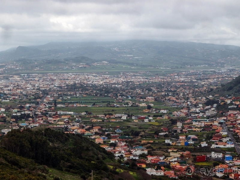 Пальма первенства 