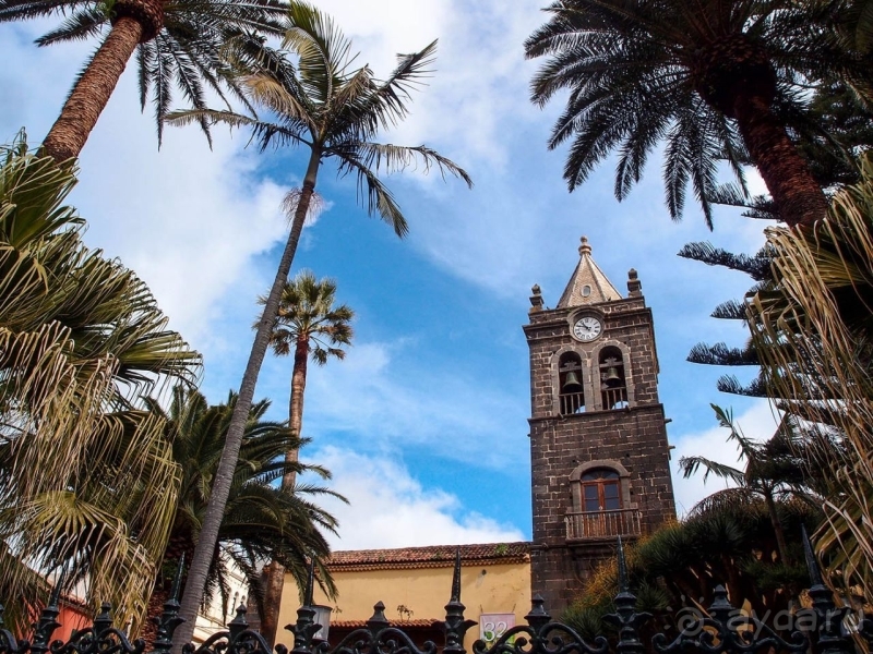 Пальма первенства 