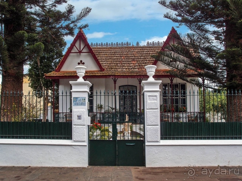 Пальма первенства 