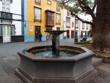 Пальма первенства 