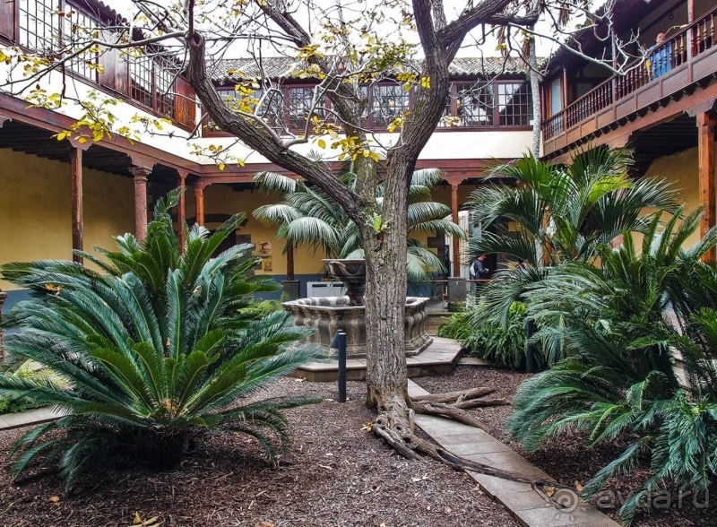 Пальма первенства 