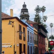 Пальма первенства 