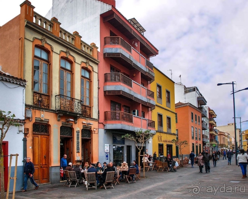 Пальма первенства 